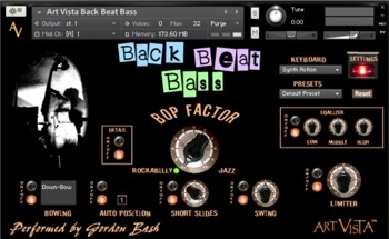 Back Beat Bass Interface Image